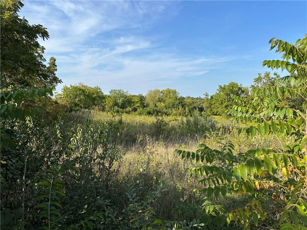 Listing Photo MLS #HMS2575273