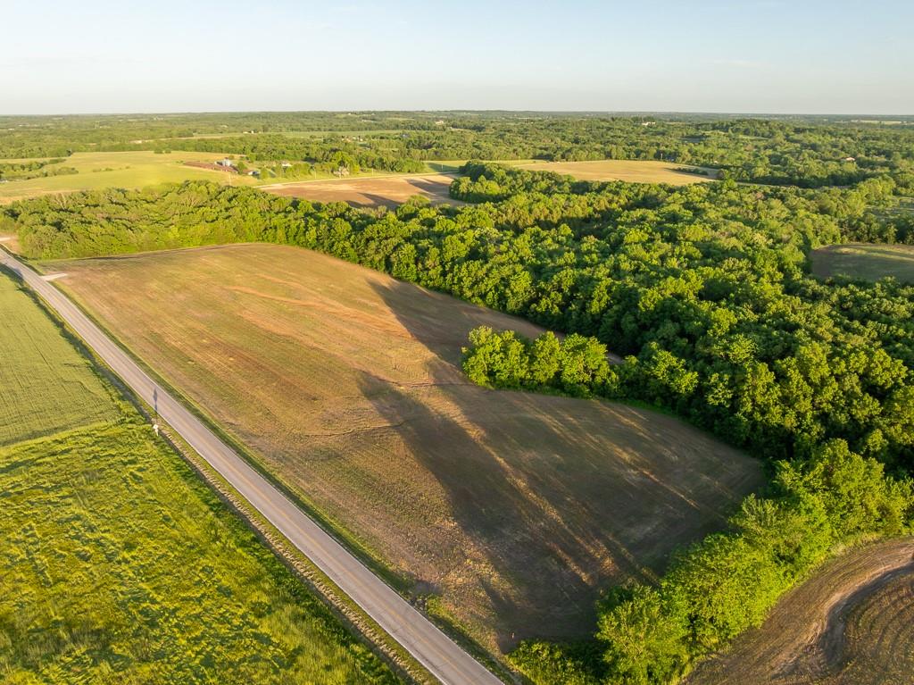 Listing Photo MLS #HMS2575367