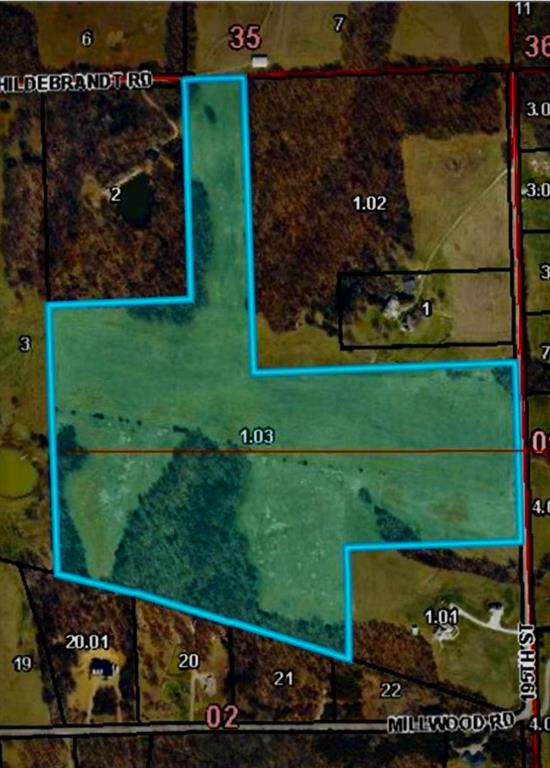 Listing Photo MLS #HMS2578682