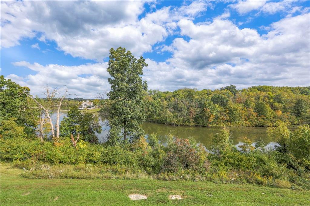 Listing Photo MLS #HMS2578848