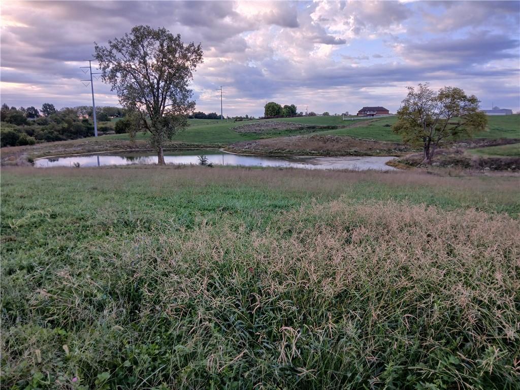 Listing Photo MLS #HMS2581437