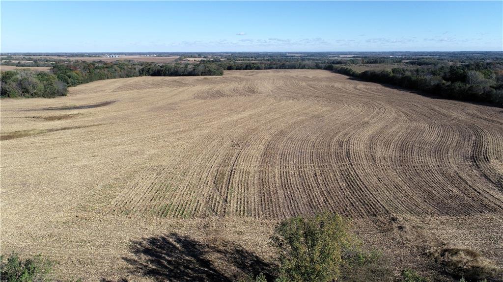 Listing Photo MLS #HMS2583312