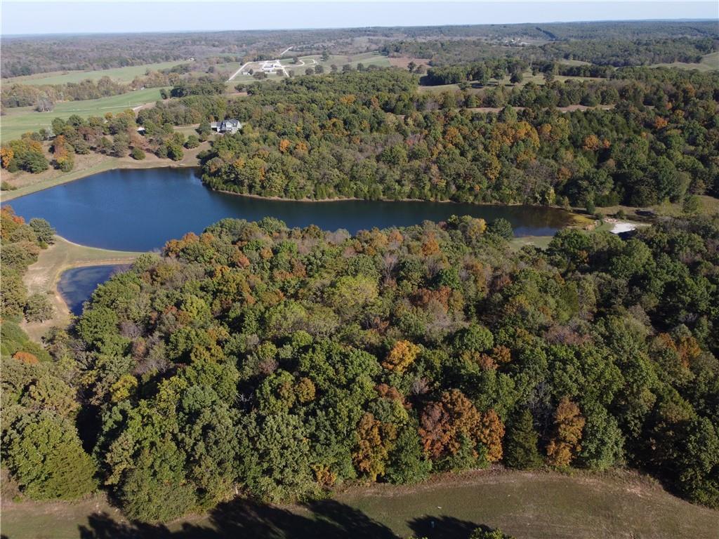 Listing Photo MLS #HMS2583438