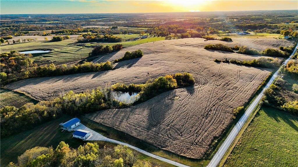 Listing Photo MLS #HMS2584347