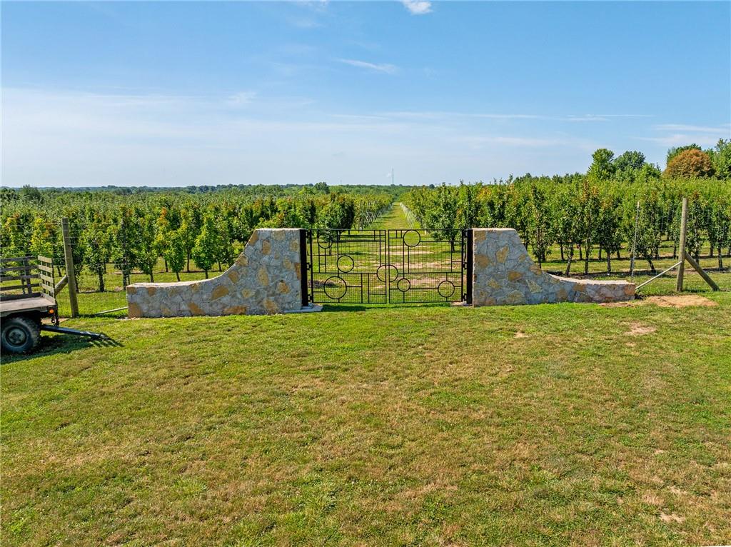 Listing Photo MLS #HMS2586981