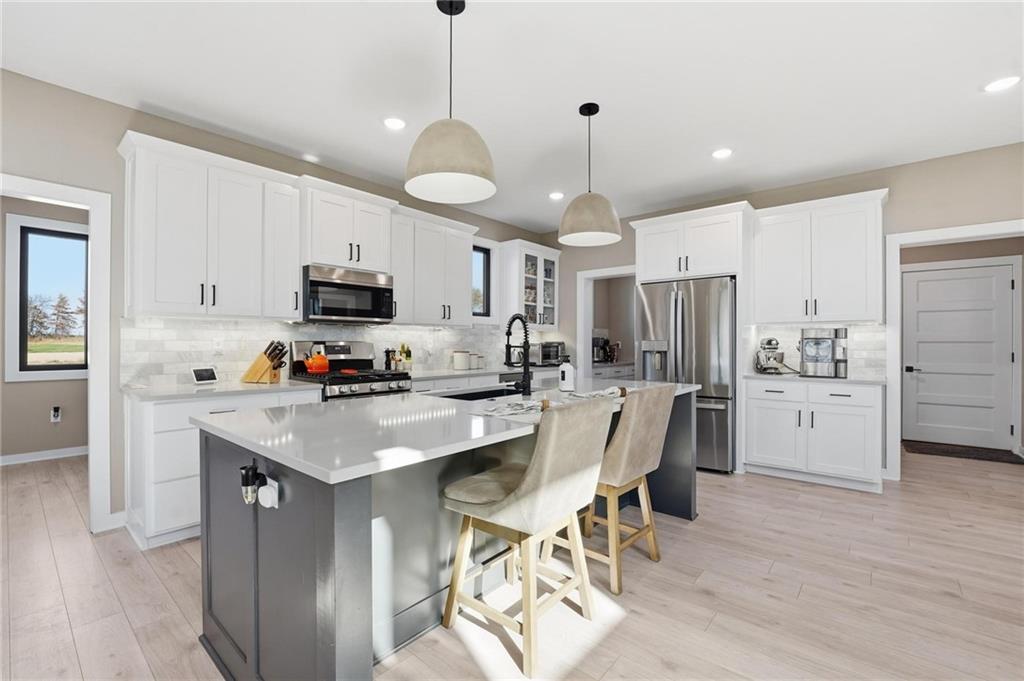 Listing Photo MLS #HMS2587736