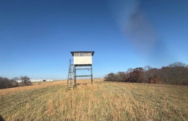 Listing Photo MLS #HMS2588486