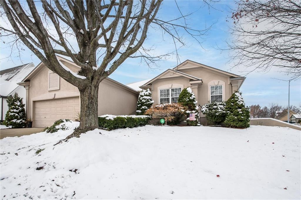 Listing Photo MLS #HMS2588556