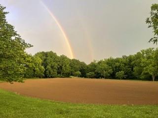 Listing Photo MLS #HMS2588714