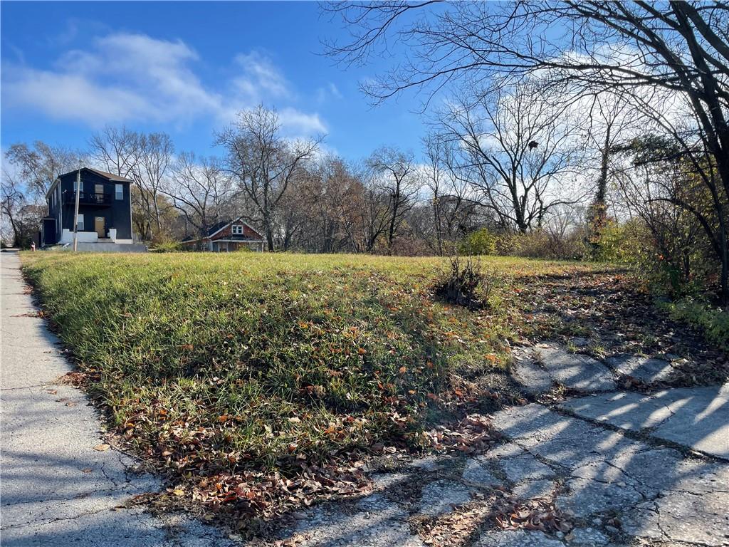 Listing Photo MLS #HMS2588968