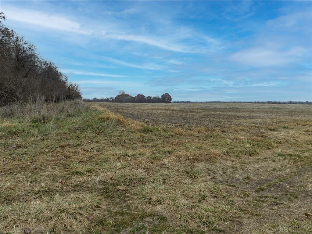 Listing Photo MLS #HMS2589092