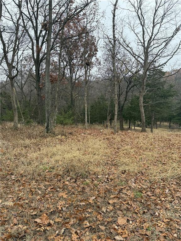 Listing Photo MLS #HMS2589186