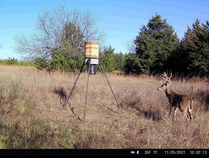 Listing Photo MLS #HMS2589727