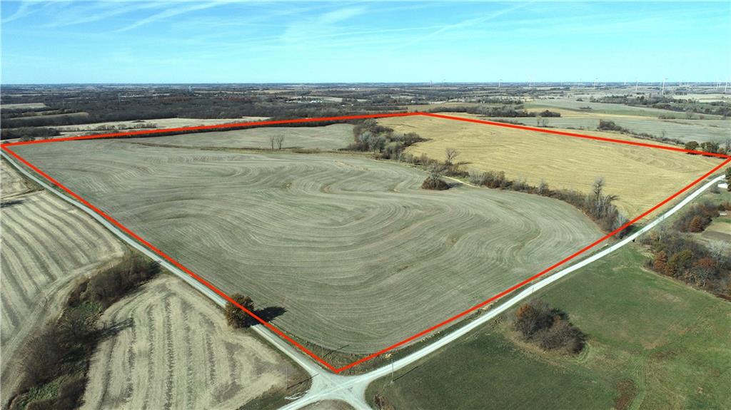 Listing Photo MLS #HMS2591083