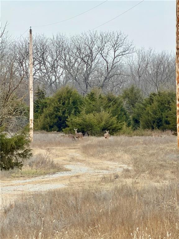 Listing Photo MLS #HMS2592504