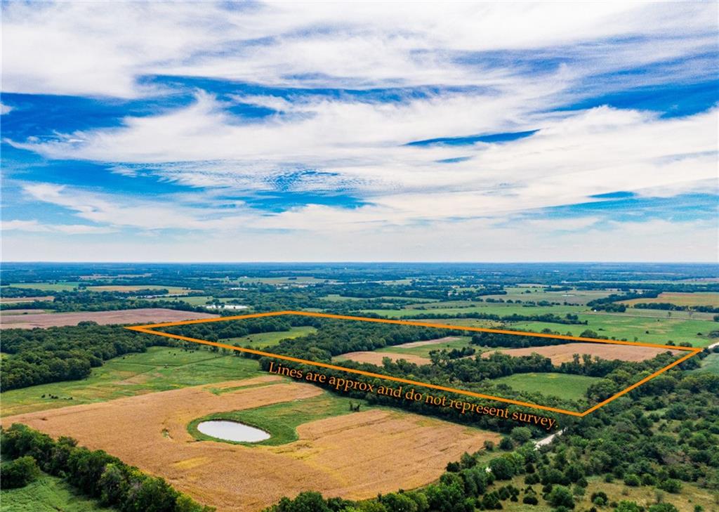 Listing Photo MLS #HMS2592694