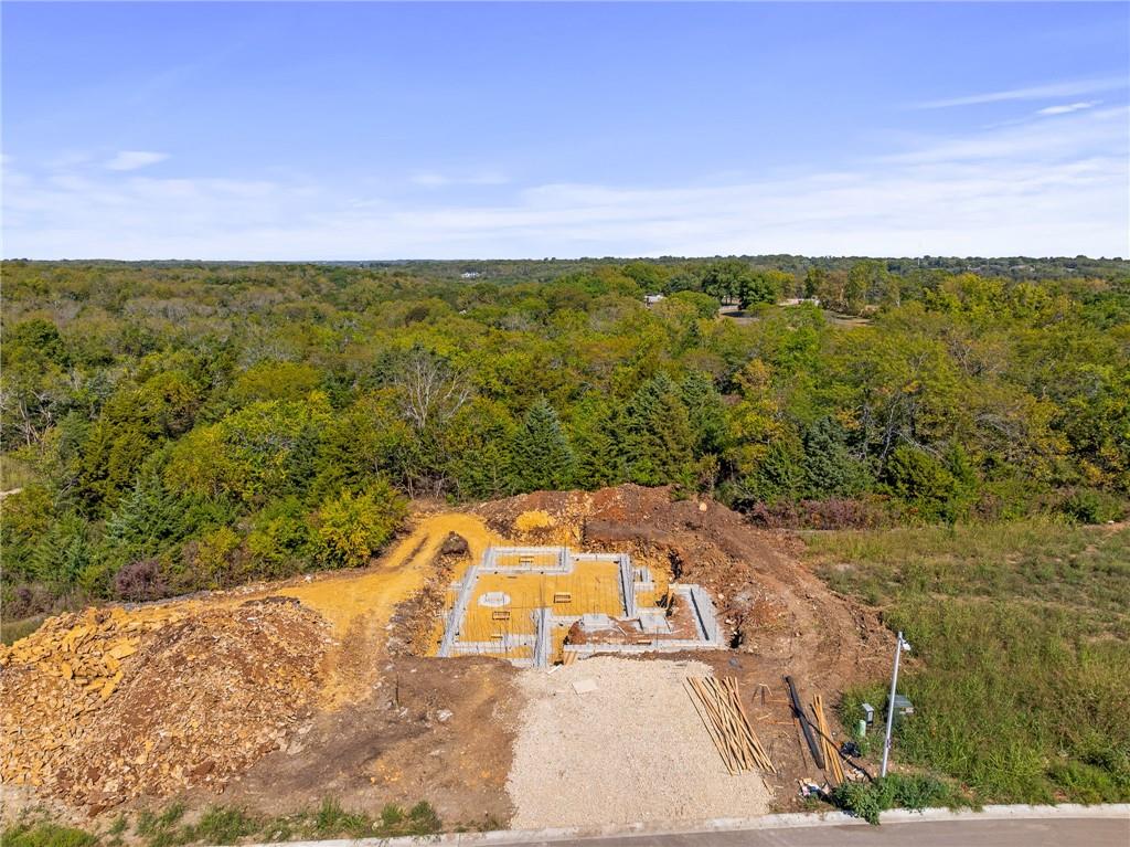 Listing Photo MLS #HMS2592891