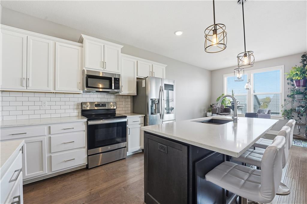 Listing Photo MLS #HMS2595331