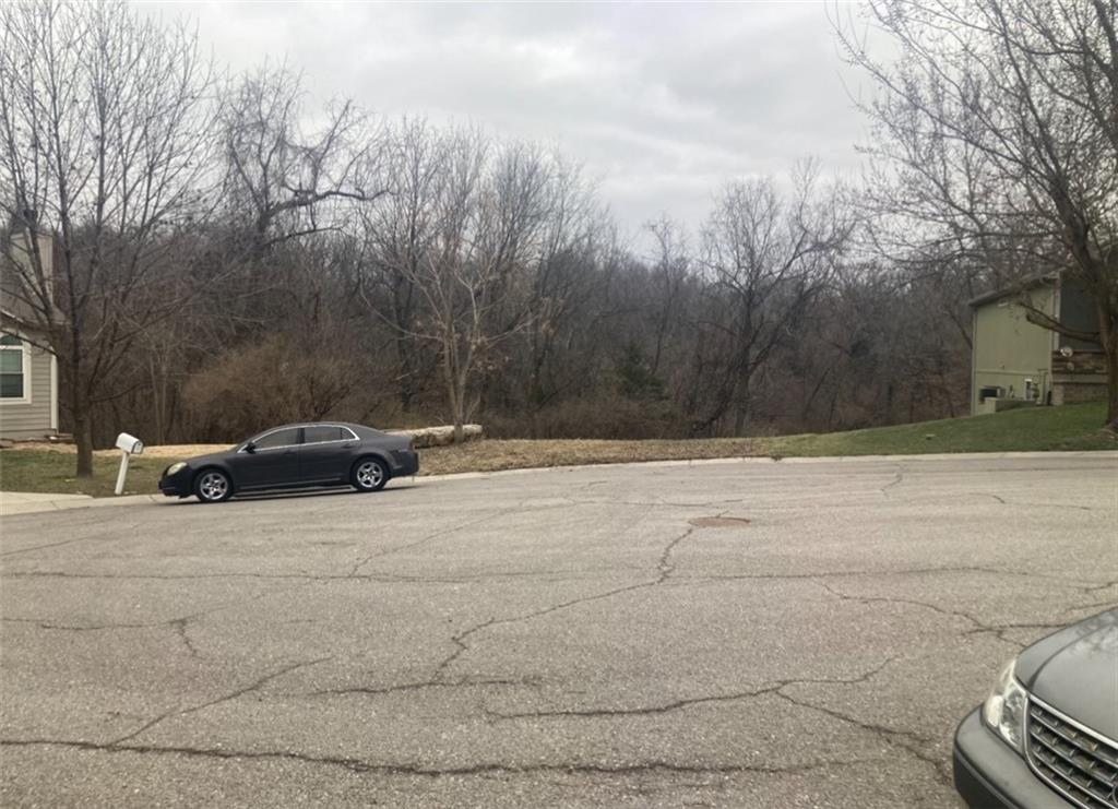 Listing Photo MLS #HMS2596296