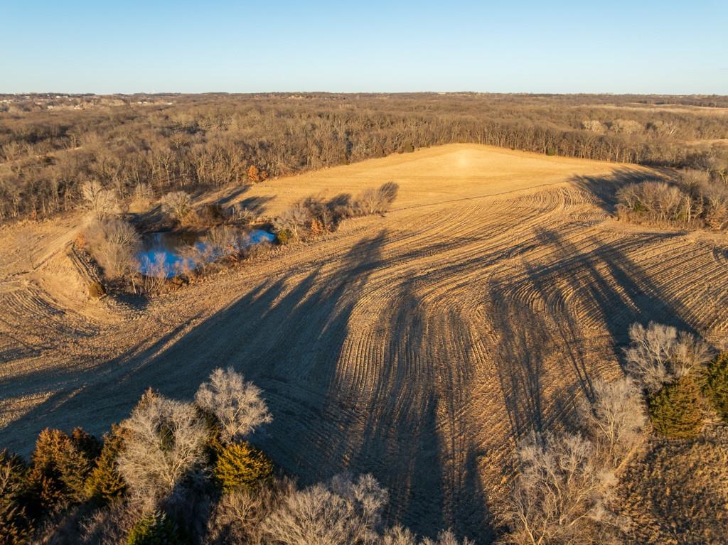 Listing Photo MLS #HMS2597985