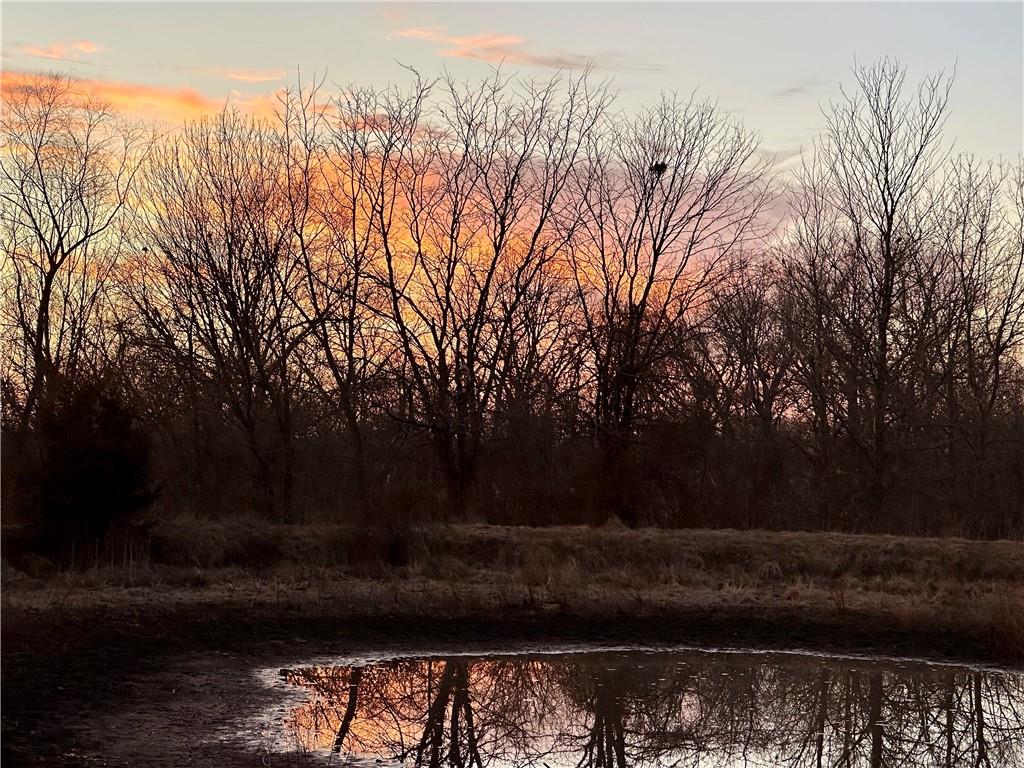 Listing Photo MLS #HMS2598197