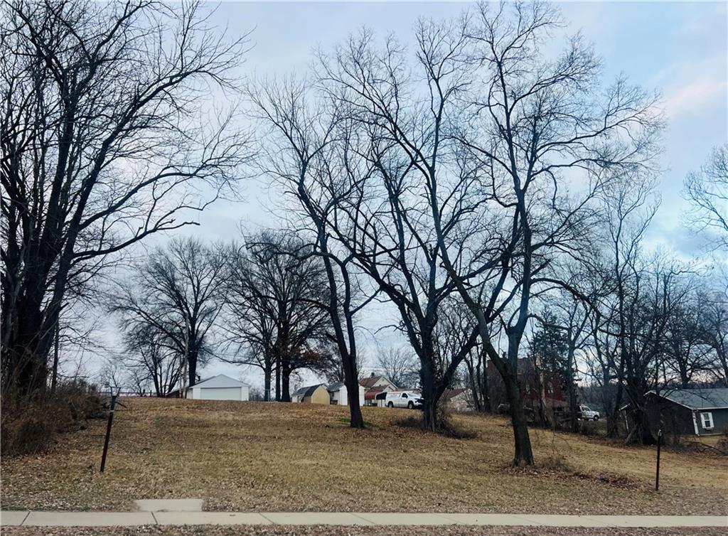 Listing Photo MLS #HMS2598632