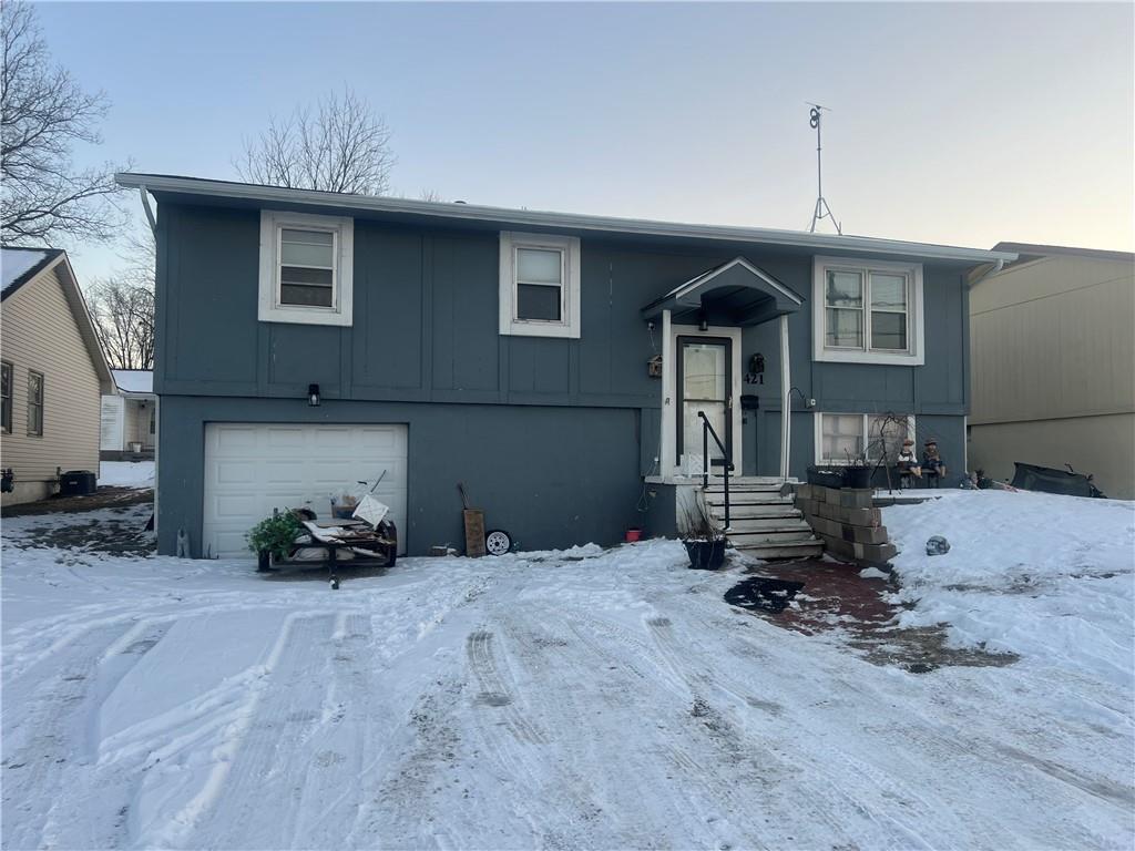 Listing Photo MLS #HMS2598866