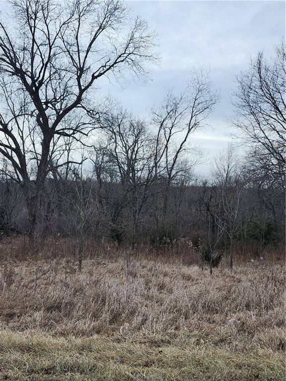 Listing Photo MLS #HMS2598884