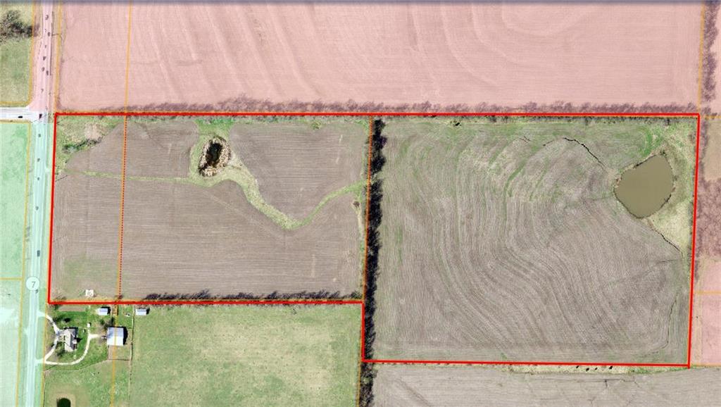 Listing Photo MLS #HMS2598892