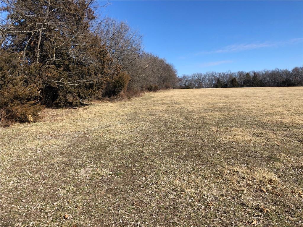 Listing Photo MLS #HMS2603356