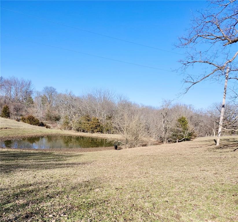 Listing Photo MLS #HMS2603733