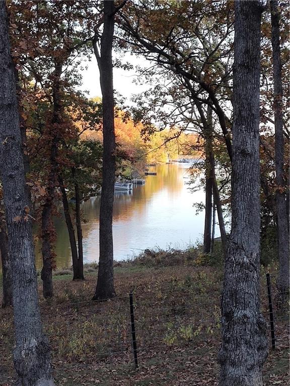 Listing Photo MLS #HMS2604284