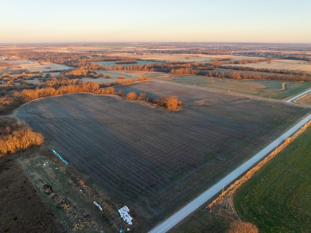 Listing Photo MLS #HMS2605634