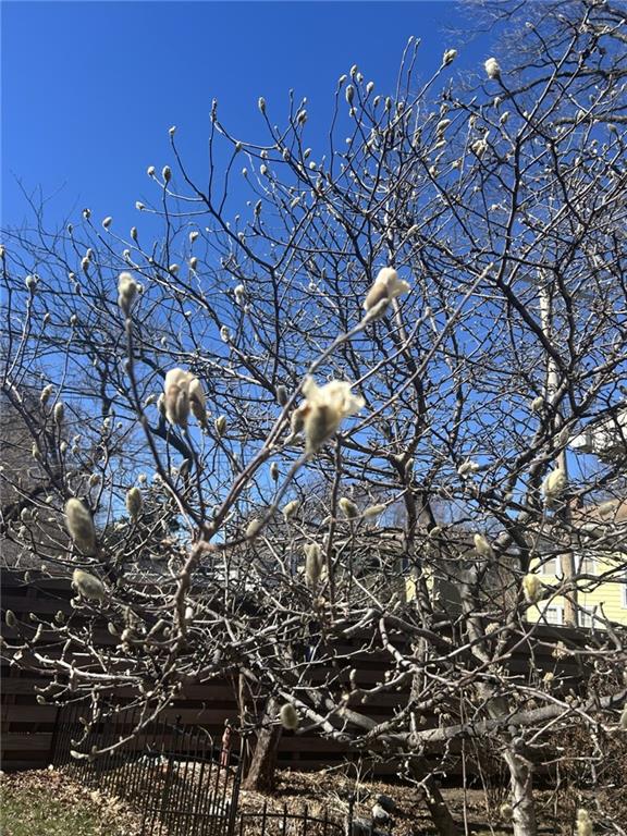 Listing Photo MLS #HMS2606503