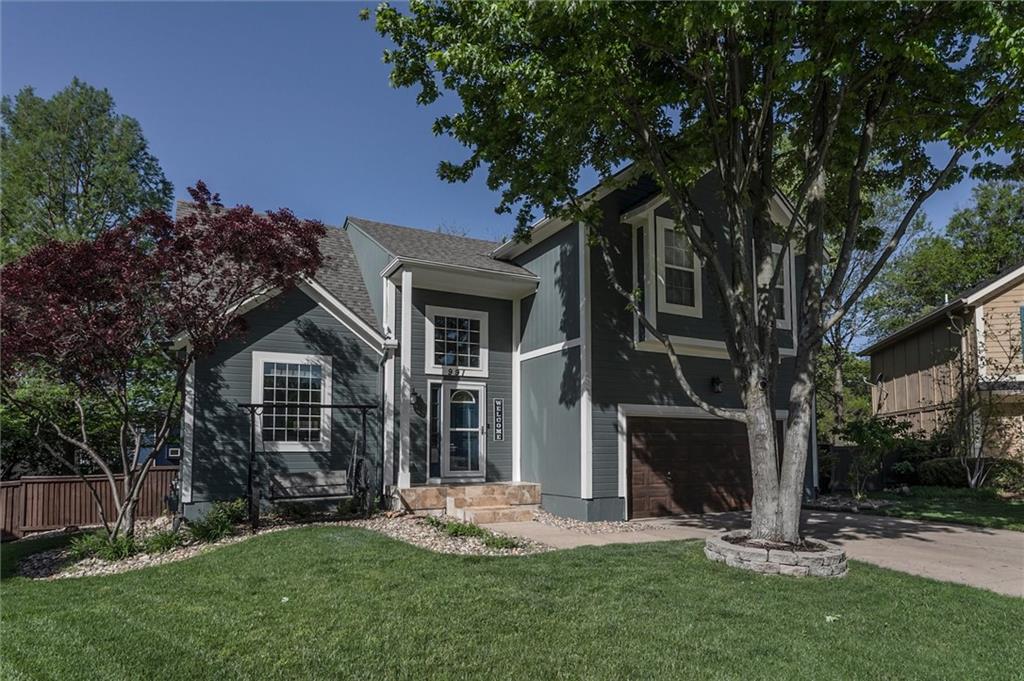 Listing Photo MLS #HMS2606828