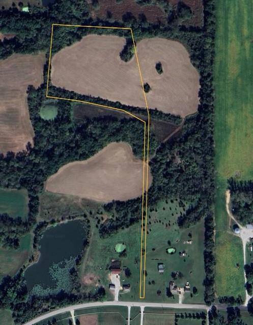 Listing Photo MLS #HMS2607263