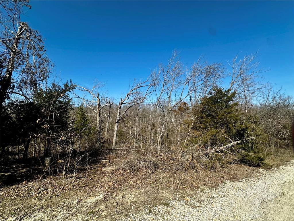 Listing Photo MLS #HMS2608043