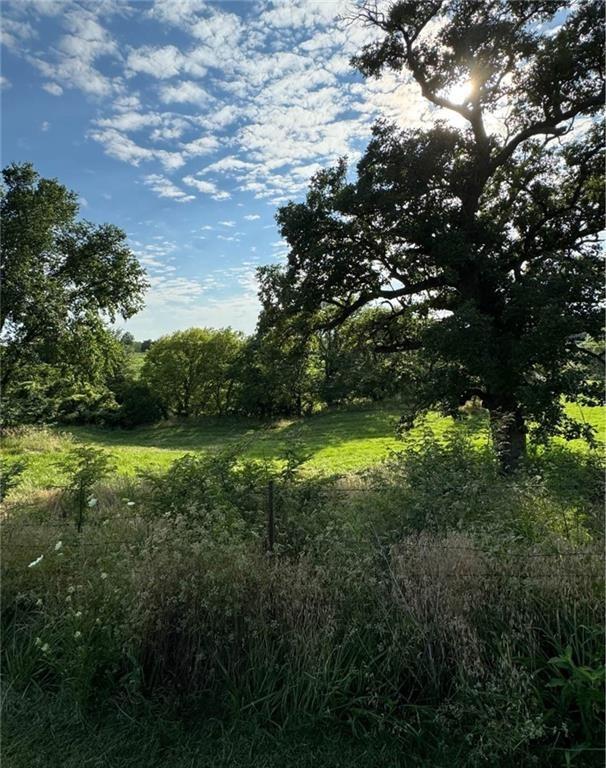 Listing Photo MLS #HMS2608262