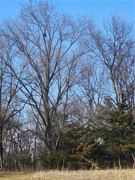 Listing Photo MLS #HMS2608381