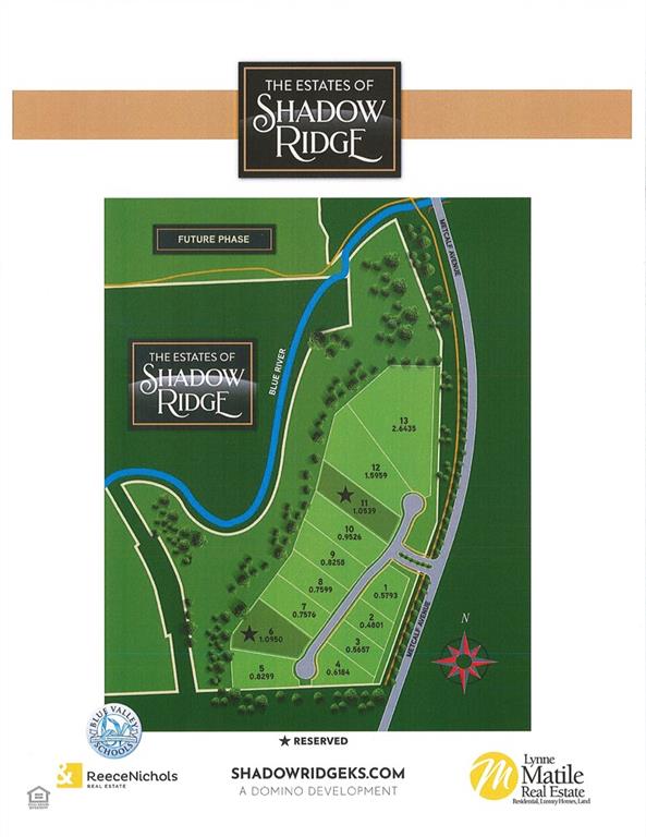 Listing Photo MLS #HMS2609193