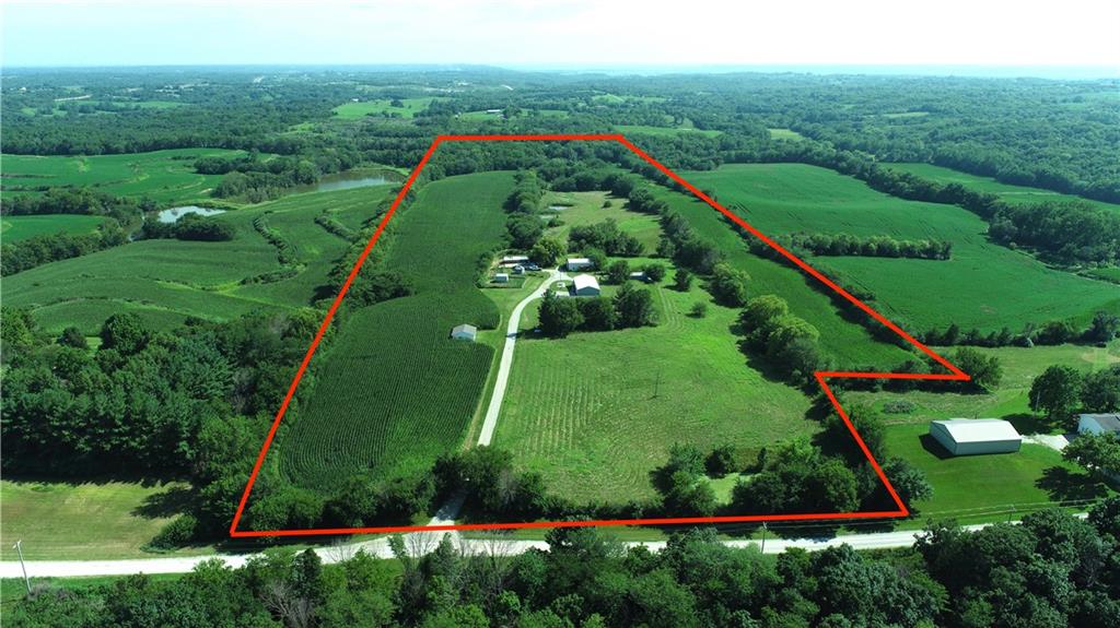 Listing Photo MLS #HMS2609749