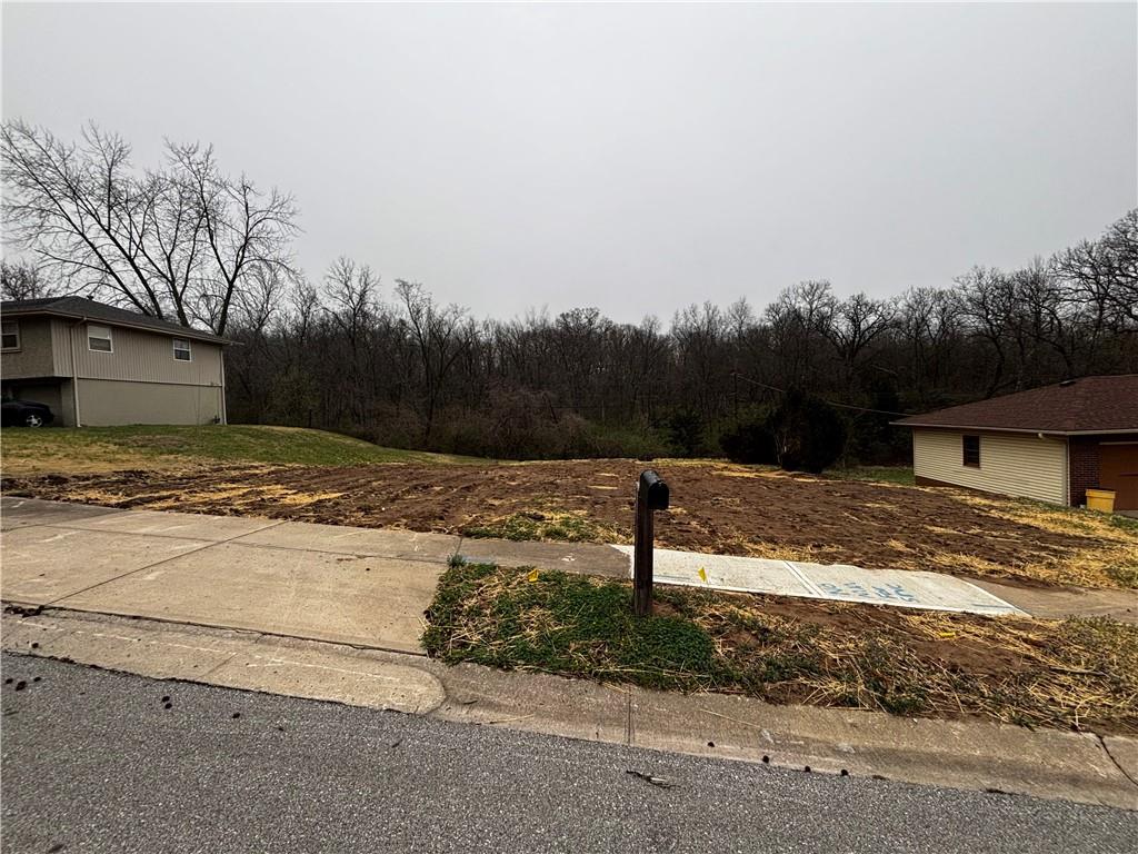 Listing Photo MLS #HMS2610470