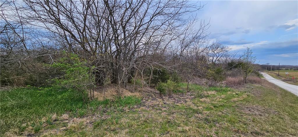 Listing Photo MLS #HMS2610786