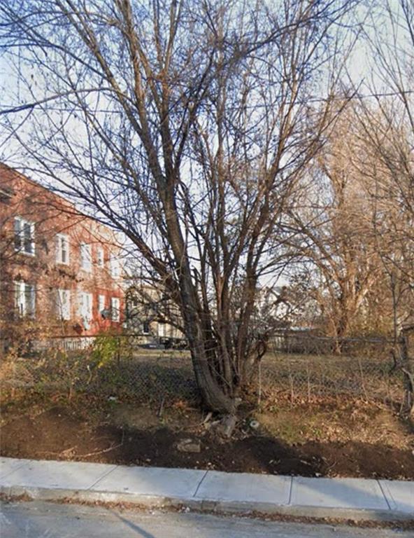 Listing Photo MLS #HMS2612187