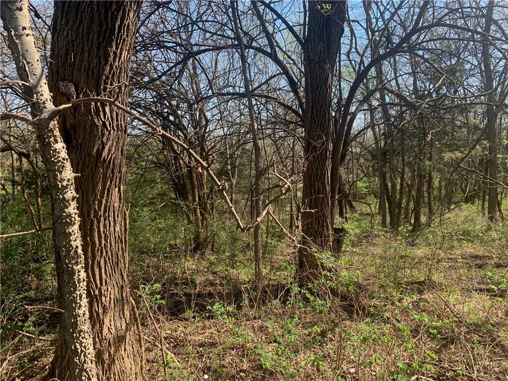 Listing Photo MLS #HMS2612217