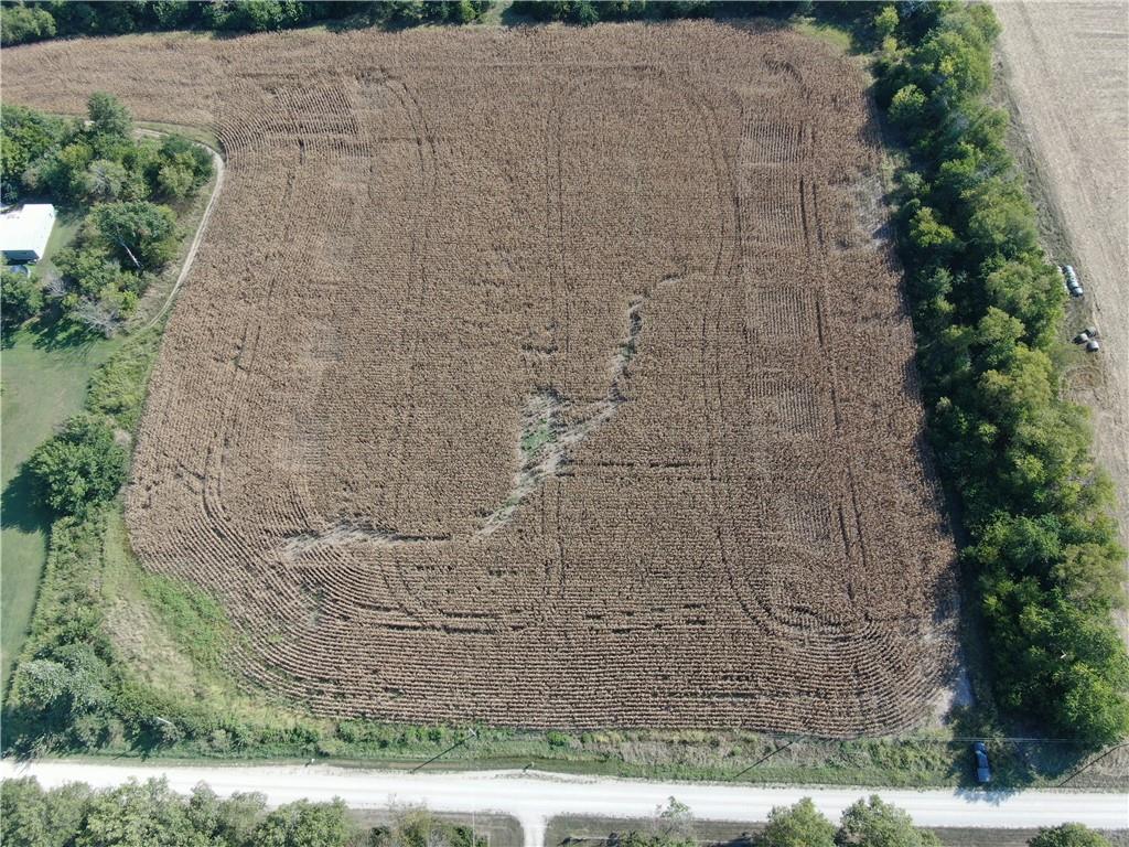 Listing Photo MLS #HMS2612776