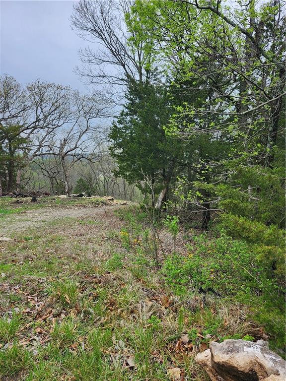 Listing Photo MLS #HMS2613429