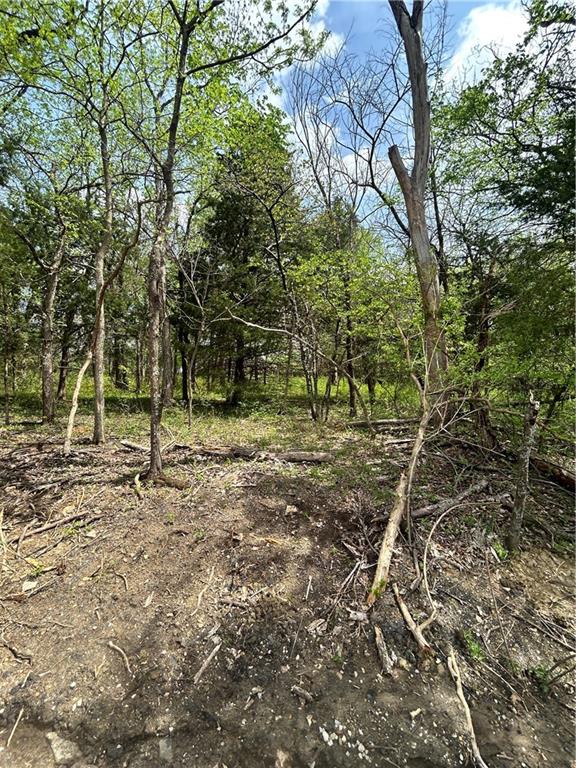 Listing Photo MLS #HMS2613978