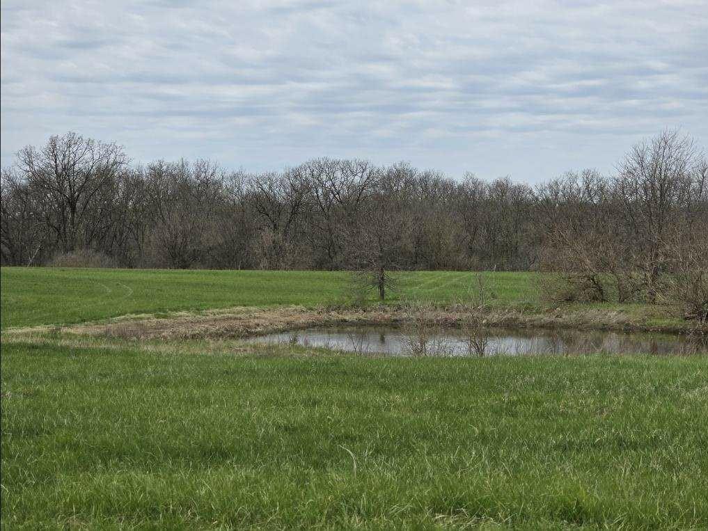 Listing Photo MLS #HMS2614231