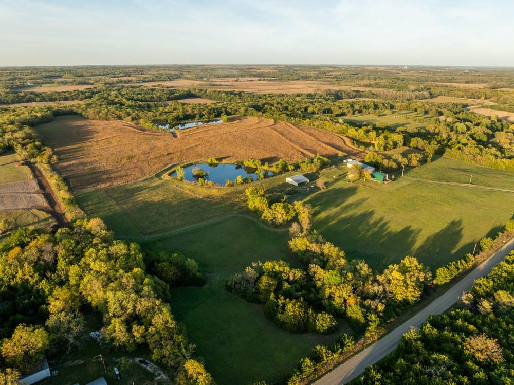 Listing Photo MLS #HMS2616268